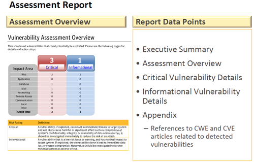 Free Digicert Vulnerability Assessment Report Page 1