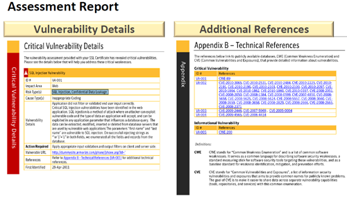 Free Digicert Vulnerability Assessment Report Page 2